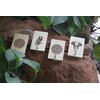 IVEI Mandala Project Animal Key Holder - Solid Wood Key