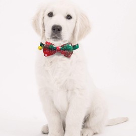 KUDES 2 Pack/Set Christmas Snowflake Dog Collars Breakaway with Bow Tie and Bells for Cat and Small/Medium/Large Pets, Red & Green