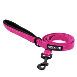 Best Pet Supplies Voyager Reflective Dog Leash or Collar with Neoprene Handle, for Small, Medium, and Large Breed Puppies, Cute and Heavy Duty for Walking, Running and Training - Fuchsia (Leash), M