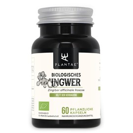 Ecological Ginger * Plantae * 60 Vegetable Capsules * 1.5% in Gingerols and Sogaoles * Digestion + Immune System + Cardiovascular Health + Dizziness