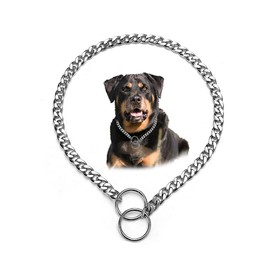Silver Choke Chain for Dogs,Heavy Metal Training Slip P Link Puppy Choker Martingale Collars for XXS XS Small Medium Large XL Breed Dogs, L