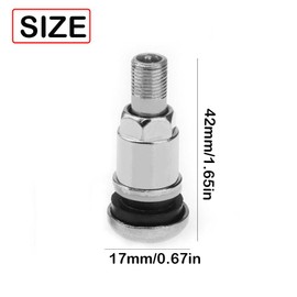 Bolt-in Stainless Steel Car Wheel Tire Valve Stems with Dust Caps (16PCS)