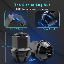 DAPHNIE M12x1.5 HEX 3/4"(19mm) OEM Black Lug Nuts-Replacement for 2006-2019 Ford Fusion, 2000-2019 Ford Focus, 2001-2020 Ford Escape Factory Wheel(Set of 20)