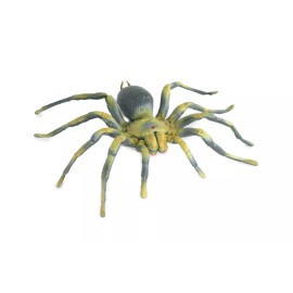 Collectible Wildlife Gifts Realistic Tarantula Spider Toy Hand Painted, Hard Rubber Model, 5" IM21 B654