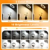 20X/10X Dual-Lens Magnifying Glass with Light and Timer, Combination Lens