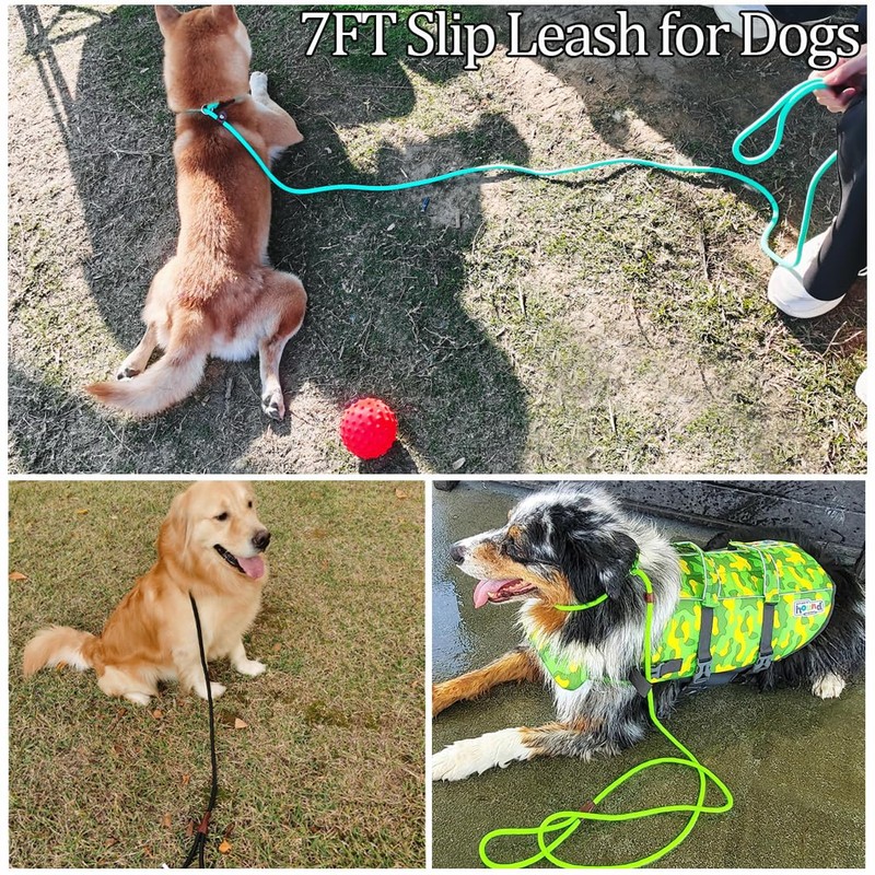 MayPaw Slip Lead Control Leash for Dogs No Pull, 13+