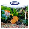 Lomas Calentador Fijo Thermo-mini 10w Acuario Peces Pecera Temperatura
