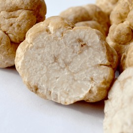 NEOGEN Dermalogy White Truffle Ampoule Drop Mist