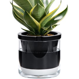 D'vine Dev 8 Inch Design Self Watering Planter for Indoor Plants, Black Terracotta Pot with Cylinder Glass Cup, Set of 1, 374-C-1