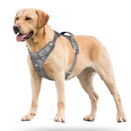 PoyPet No Pull Dog Harness, No Choke Reflective Dog Vest, Adjustable Pet Harnesses with Easy Control Padded Handle for Small Medium Large Dogs(Gray,M)