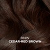 Clairol Beautiful Collection, 14w Cedar Red Brown, 3 oz.