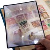 Premium 7" Page Magnifier Fresnel Lens for Reading