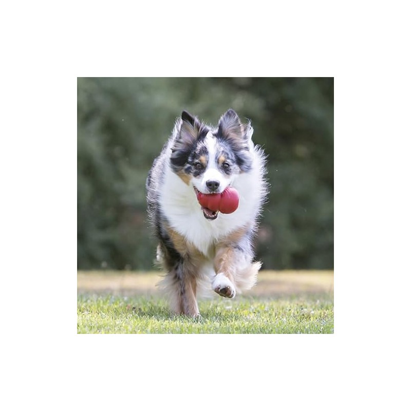 KONG Juguete Clásico para Perro, Grande