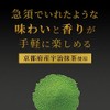 Itoen Genmaicha Matcha Blend Premium Tea Bags - 50 Pack