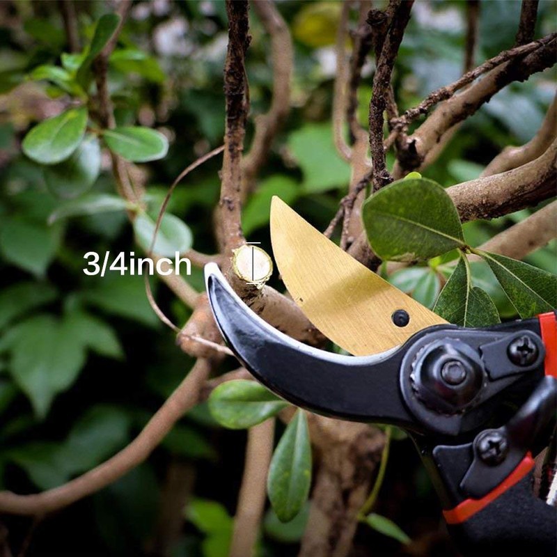 SEEYC Professional 8 inches Premium Titanium Bypass Pruning Shears, Premium