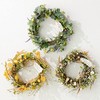 HEADS ZAR-NW2 Head Wreath Diameter Approximately 14.6 x 3.9 inches