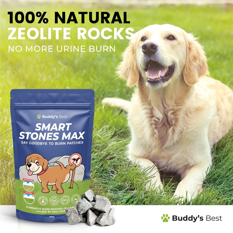 Smart Rocks Max | Urine Neutrialiser Rocks To Stop Grass