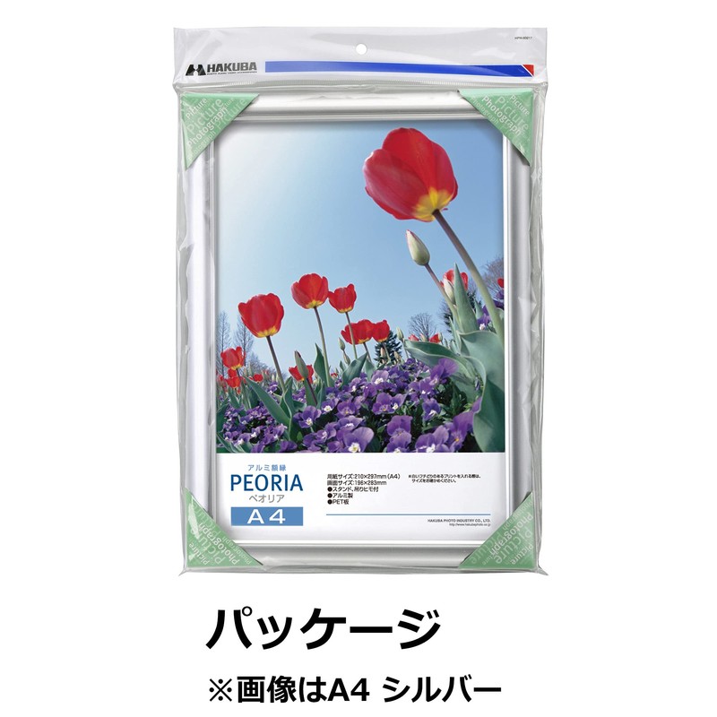 Hakuba FAPE-BKA4 Picture Frame, Aluminum Peoria, A4, Size, Black, A4,