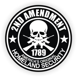 Unbranded/Generic 10 pack 2nd Amendment Hard Hat Stickers | Motorcycle Helmet Welding Decals Lot