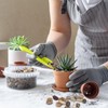 Pulovin 10 lbs Pebbles for Indoor Plants, Succulent, Bamboo, Vase,