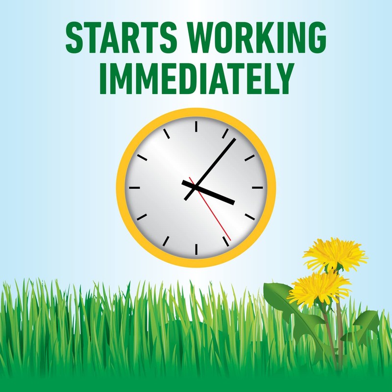 Roundup for Lawns₂ Concentrate, Weed Killer for Northern Grasses, Kills