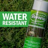 Seymour 20-602 Grass and Shrub Renew Paint, Pristine Green, 2/Pack