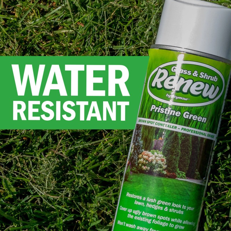 Seymour 20-602 Grass and Shrub Renew Paint, Pristine Green, 2/Pack