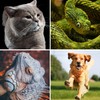 Spring.Rd Anti-Bite Gloves Safety Ultra Long Leather Bite Green Pets