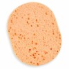 JQ Cleansing sponge, water-absorbing sponge, facial cleansing sponge / 클렌징 스펀지 물흡수스펀지 세안스펀지