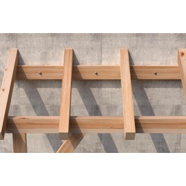 fischer 540134 Langschaftdübel SXRL SXR, 8 x 160, Galvanised, 50 Count