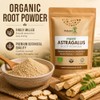 Natures Root Organic Astragalus Root Powder - 500g Herbal Supplement