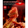 Flaspar 100W Reptile RED Heat Lamp Bulbs, Reptile & Amphibian