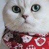 Cat Triangle Bib Cute Japanese Style Adjustable Mohair Pet Triangle