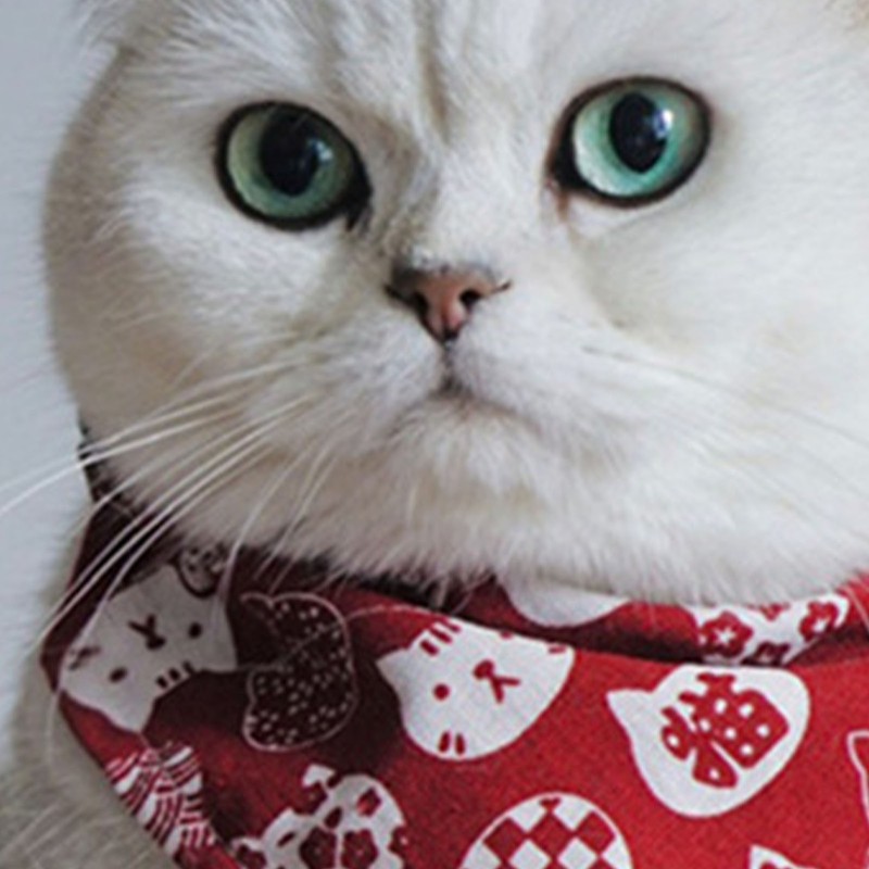 Cat Triangle Bib Cute Japanese Style Adjustable Mohair Pet Triangle