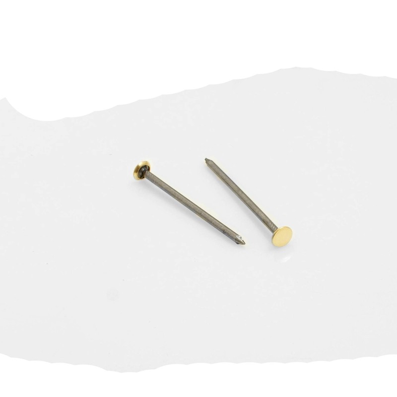 Design61 Steel Picture Nail 2.0 x 40 mm Pack of
