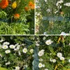 GARDENIX Baumanbinder, Pflanzenband, Baumbindeband (50m, Grün) Zum Fixieren Und Binden
