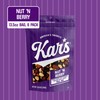 Kar’s Nuts Nut ‘N Berry Trail Mix, 13.25 oz –
