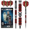 RED DRAGON Gerwyn Price Iceman Firebird 18 Gram Softip Premium
