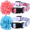 2 Pack Dog Collar Floral with Removable Flower Adjustable Nylon