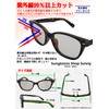 PP (Phenol Phthalein) P-303 Polarized Sunglasses, Made in Japan, Polarized