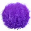 THARAHT 100pcs Fluffy Turkey Marabou Feathers 4-6inch for craft Dream