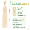 XDhair Blonde Pre Bonded Human Hair Extensions 50 Strands 50g