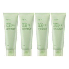 Plant Nara Young Green Tea Refreshing Cleansing Foam 120ml 4pcs / 식물나라 어린녹차 산뜻 클렌징 폼 120ml 4개