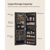 SONGMICS Mirror Jewelry Cabinet Armoire, Wall or Door Mounted Jewelry