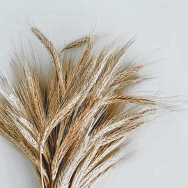 Eco Style Krystal Styling Gel 8oz with Tail Comb & Edge Brush – Maximum Hold Body & Shine | Alcohol-Free & Non-Flaking Styling Gel for All Hair Types | Defines Curls & Controls Frizz