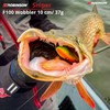 Robinson Fishing Lure for Large Predatory Fish - Jerkbait Wobbler,