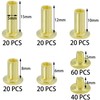 100 Sets Chicago Screws,Leather Rivets Sets with Five Sizes (Gold)