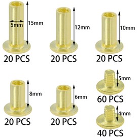 100 Sets Chicago Screws,Leather Rivets Sets with Five Sizes (Gold)