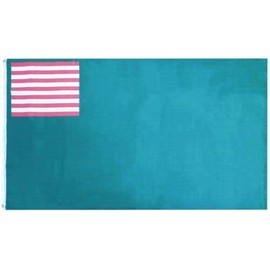 3x5 Delaware Militia 1776 Green Premium 100D 3'x5' Woven Poly Nylon Flag Banner