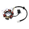 TAOTAO MAGNETO STATOR 6 Coil 110cc 125cc ATV TFORCE CHEETAH
